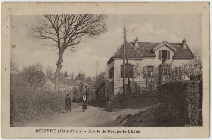 Mésyré (Haut-Rhin), route de Fesche-le-Châtel.