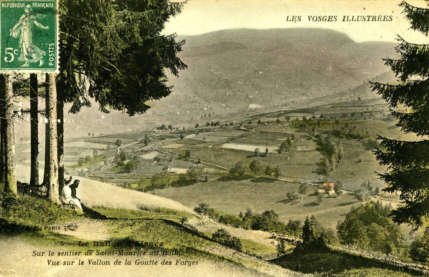 Ballon d'Alsace, sur le sentier de Saint-Maurice au Ballon, vue
                            sur la vallon de la Goutte des Forges.
