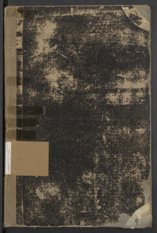 20 mars 1877 - 17 février 1878