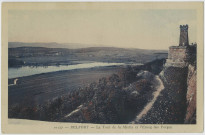 Belfort, la Tour de la Miotte et l'étang des Forges.