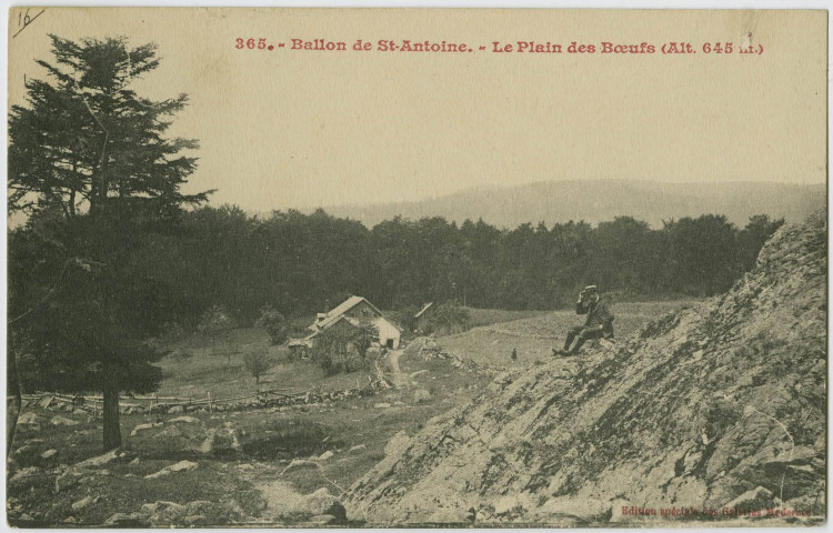 Ballon de St-Antoine, le Plain des bœufs (alt. 645 m.).