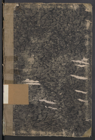 18 janvier 1860 - 11 mars 1861