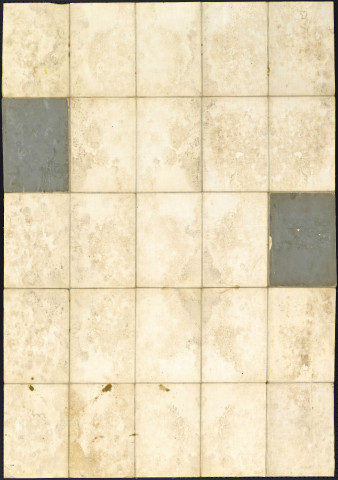 Plan de la ville de Belfort, 1905.