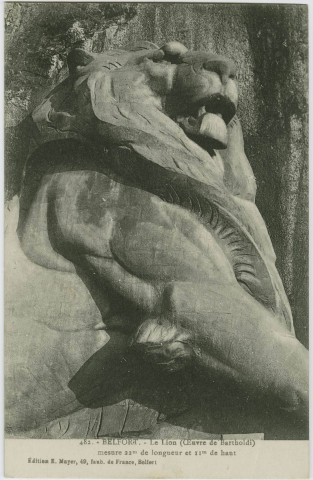 Belfort, le Lion (œuvre de Bartholdi) mesure 22 m de longueur et 11 m de haut.