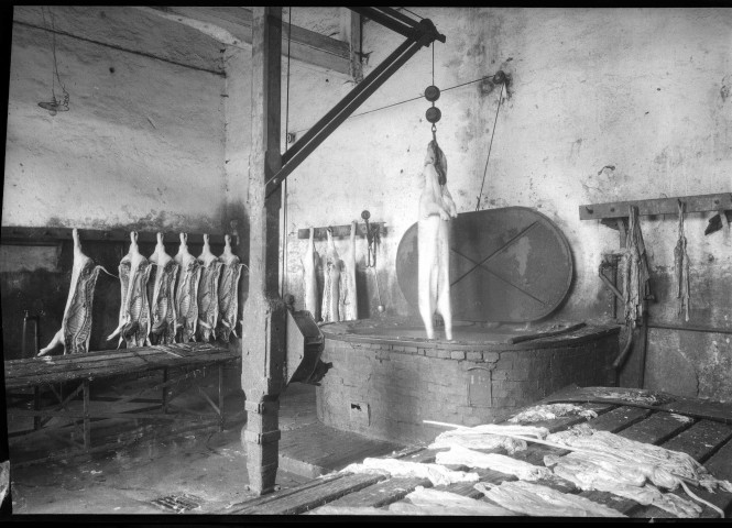 Au premier plan, un porc entier prêt à être échaudé suspendu à un treuil de levage avec pesée, dépouilles d'animaux posées sur une table : négatif souple 12,6x17,6 cm.