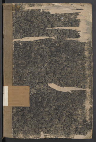 11 mars 1861 - 18 avril 1862