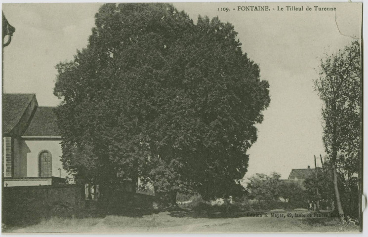 Fontaine, le tilleul de Turenne.