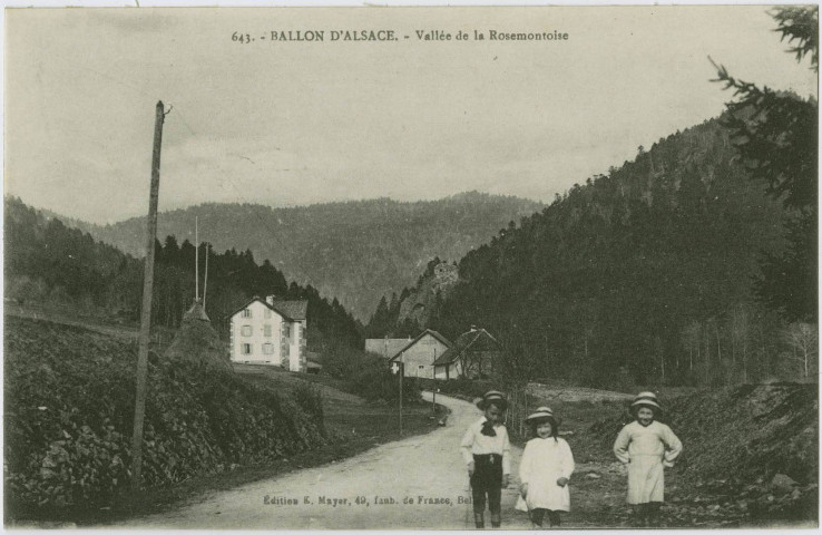 Ballon d’Alsace, vallée de la Rosemontoise.