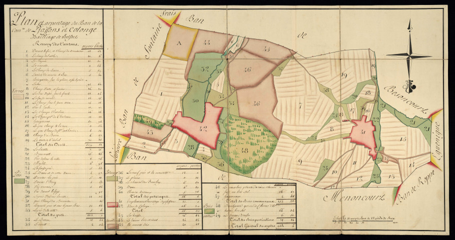 Phaffans : minute et mise au net.