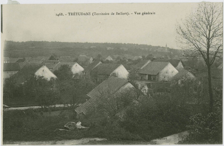 Trédutans (Territoire de Belfort), vue générale.